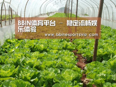 种植基地五