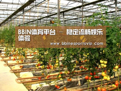 种植基地二(图1)