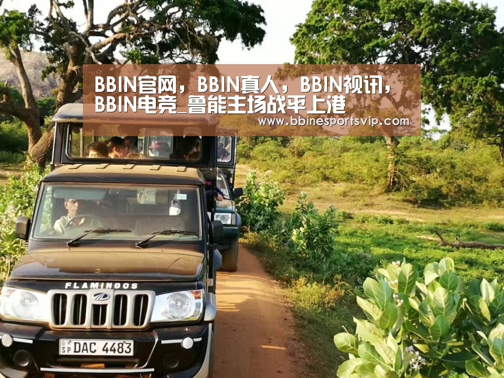 BBIN官网，BBIN真人，BBIN视讯，BBIN电竞